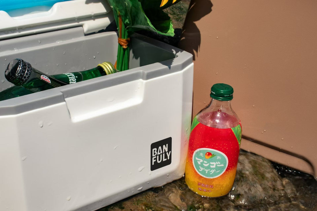 The Ultimate Guide to Choosing the Best Live Bait Container: Keep Your Shrimp & Fish Alive Longer