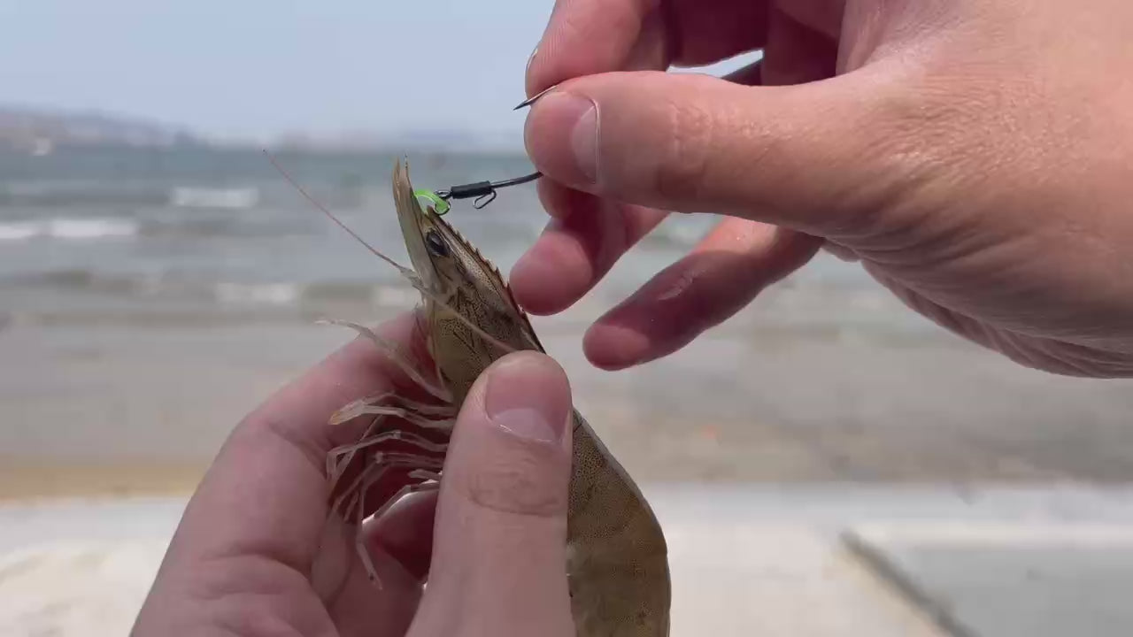 Watch & Learn How to Rig Live Shrimp in 3 Seconds Flat!